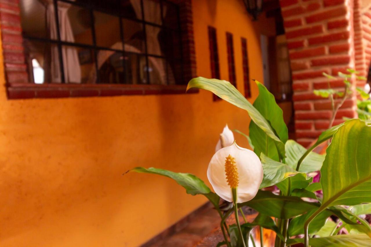 Mex Suites Casa Azúl B&B Mexikóváros Kültér fotó