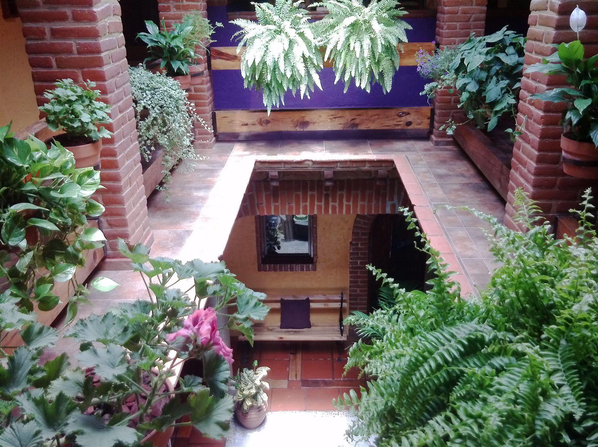 Mex Suites Casa Azúl B&B Mexikóváros Kültér fotó